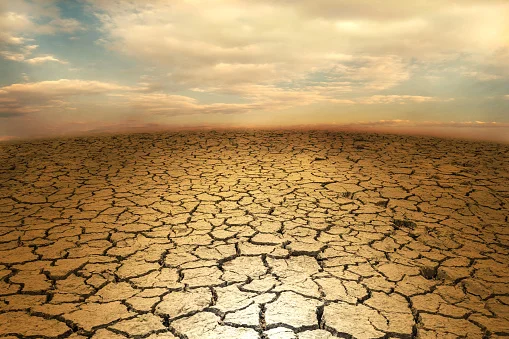 Drought in Europe, warning that it could become the worst it ever did