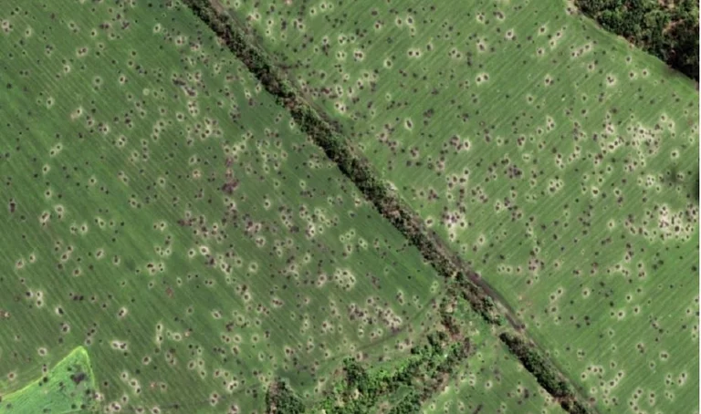 That's the percentage of agricultural land Russia currently controls in Ukraine