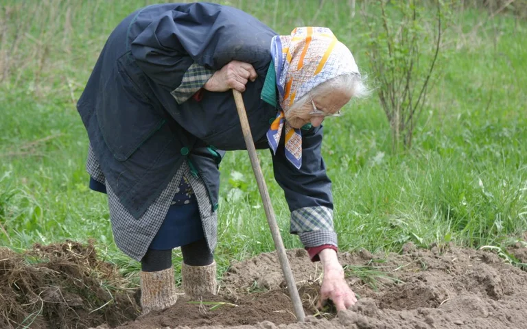 5 Paesi nel mondo dove le persone vivono più a lungo