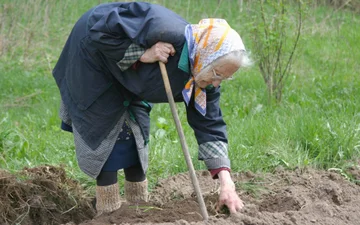 5 Countries in the World Where People Live Longer