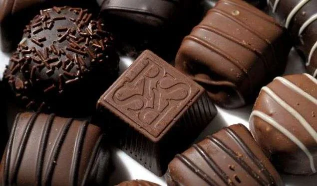 La plus grande usine de chocolat au monde en Belgique interdit la production en raison de la présence de salmonelles en elles