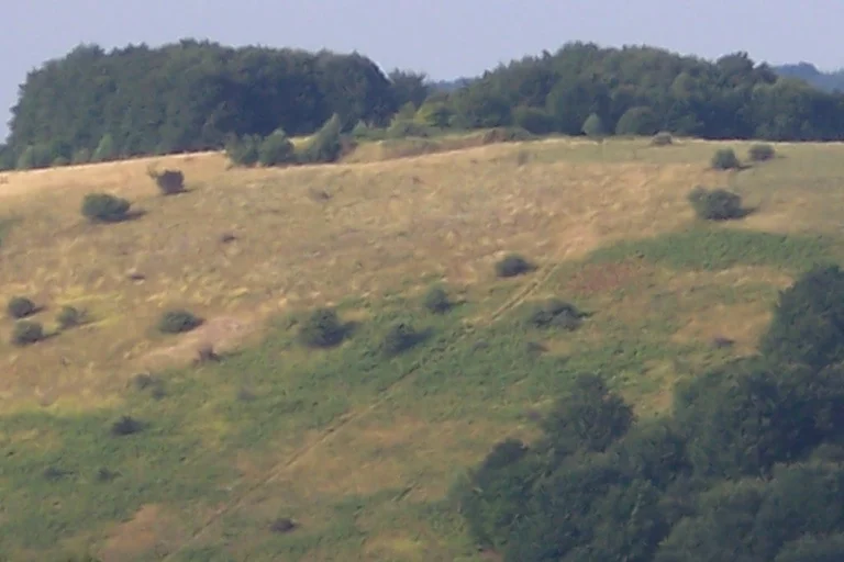 Police: We have encountered Serb parachutists near Kosovo border