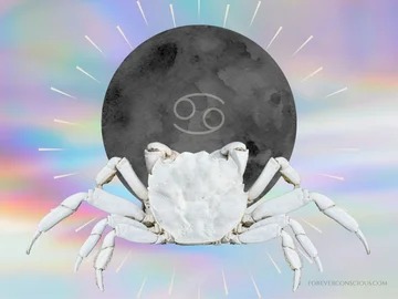 New moon at the Gaforre: What do you bring about your mark?