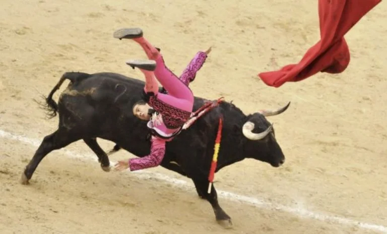 bull game: The tribunbes in Colombia are dead.
