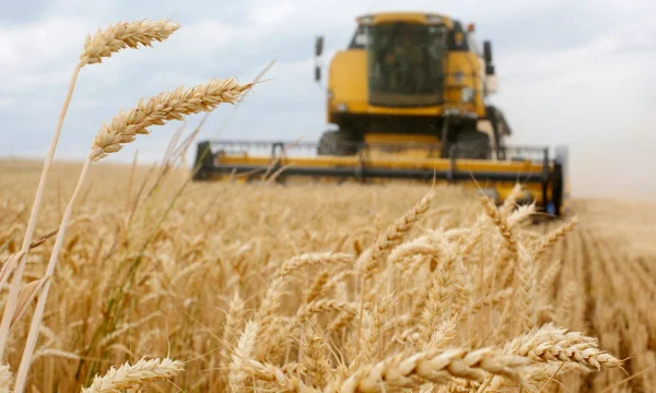 Turkey, Russia reach deal on Ukrainian wheat export