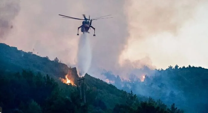 Grèce en feu : 40 pompiers, 9 avions, 4 hélicoptères au sol