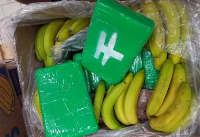 Drug traffickers wrong address, send supermarkets 840kg of cocaine
