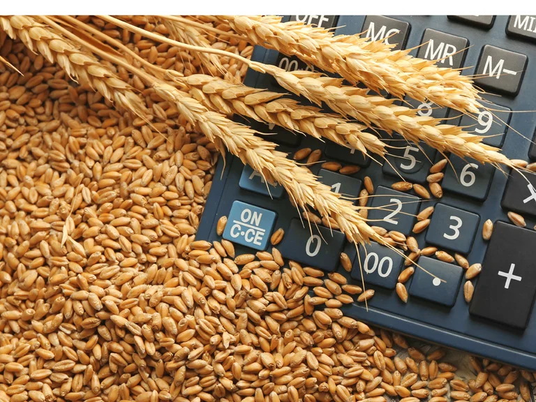 Comment le prix du grain est-il déterminé?