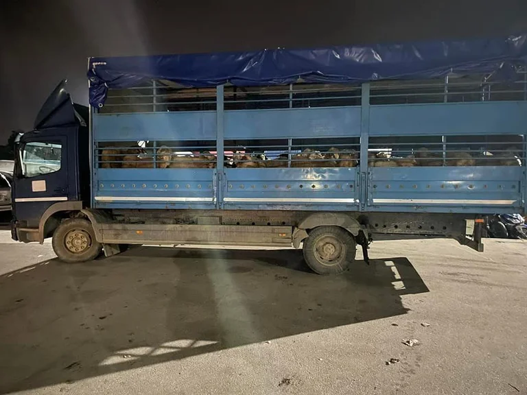 Kosovo Polizei angegriffen von Perotechnic Mittel in Zvecan