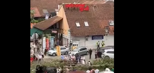 Image du site où est tombé le chêne qui a laissé à Pristina 30 ans morts