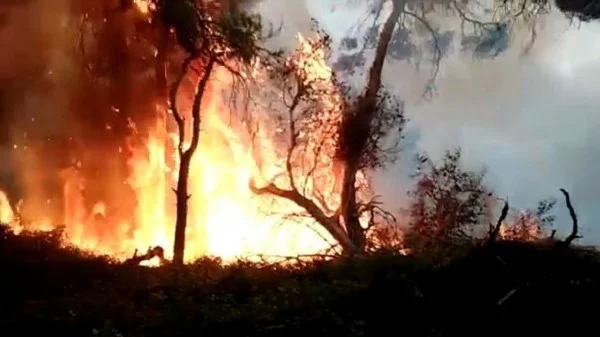 Great fire on the island of Saban calls for air support to extinguish it
