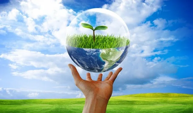 Aujourd'hui, la Journée mondiale de l'environnement est marquée