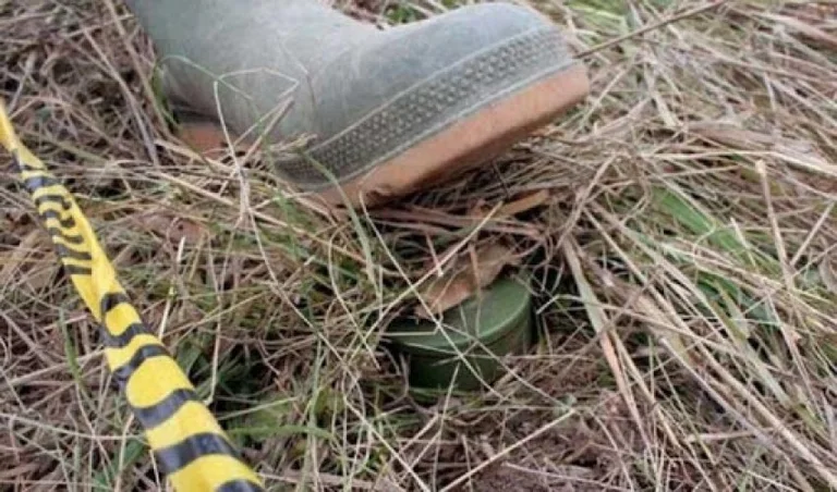 A World War II explosive device found in Pec