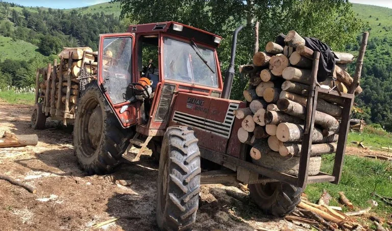 Shtrpce: Nine persons arrested after being caught cutting trees