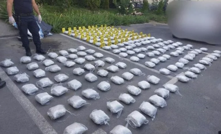 Police provide details about apprehending about 93kg of marijuana in Prizren