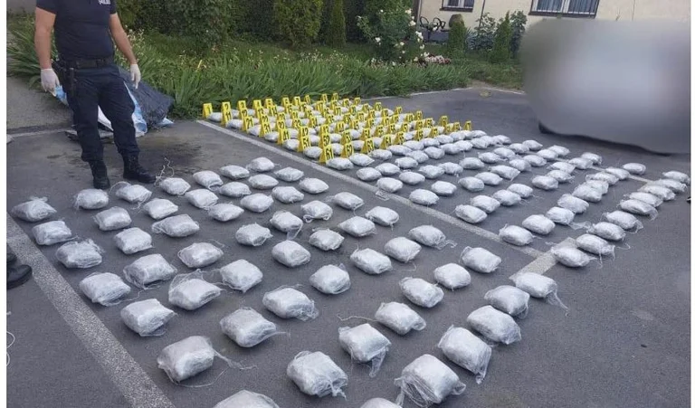 Police seize over 90kg of marijuana, Svechla with orders for criminal groups