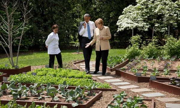 The White House contains a garden where trees and vegetables are planted