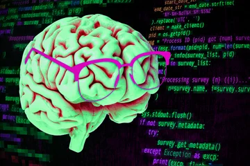 Which is the best food for the brain according to scientists.