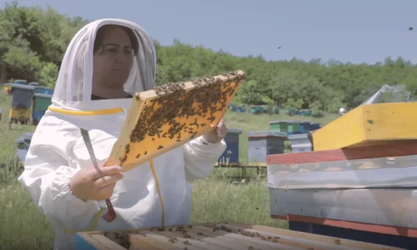 Con maestro pero sin trabajo en el país, conocer a la mujer de Decani que creó negocios con abejas