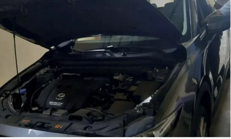 Voiture volée en 2020 en Hollande interdite à Han, Elez