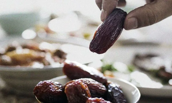 Les avantages que nous recevons des palmiers