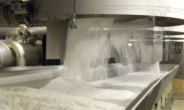 World's food crisis, world's biggest sugar producer plans to stop export