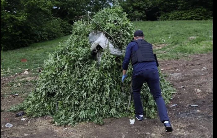 Minister Shows What the Value of Drug confiscated in the North