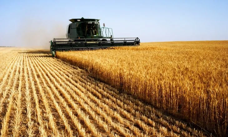 The unknowns of the <x0 wheat war”
