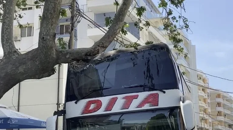 Le bus du Kosovo s'écrase dans un arbre à Vlora (VIDEO)