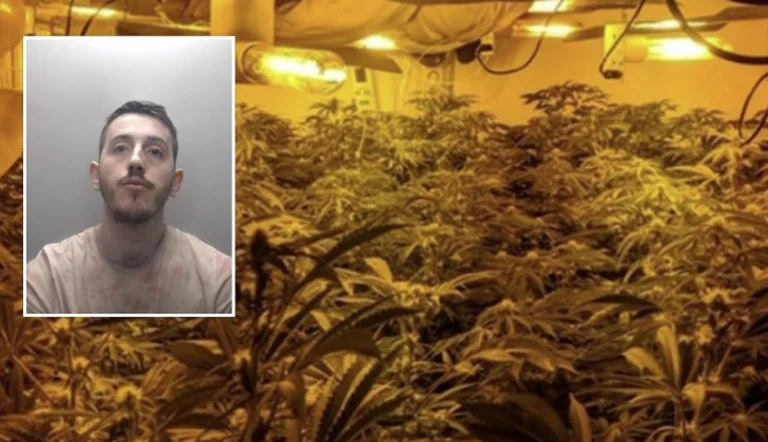 He produced drugs worth 50,000 euros, punished by an Albanian who was seized by “barhouse” in England