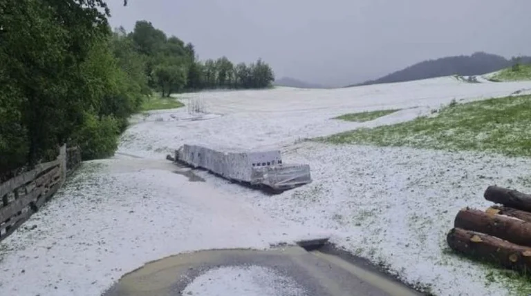 Au printemps, la grêle en Slovénie couvre la nature verte avec le blanc