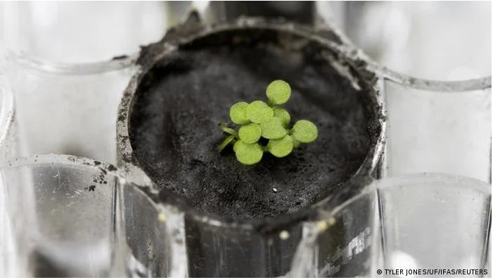 Space Food Insurance: Cultiver les salades lune