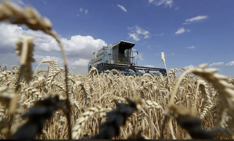 La faim dans le monde: la Russie dit qu'elle ouvre des ports si les sanctions disparaissent