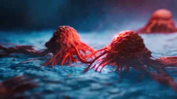 Palm oil and squid make tumors more aggressive