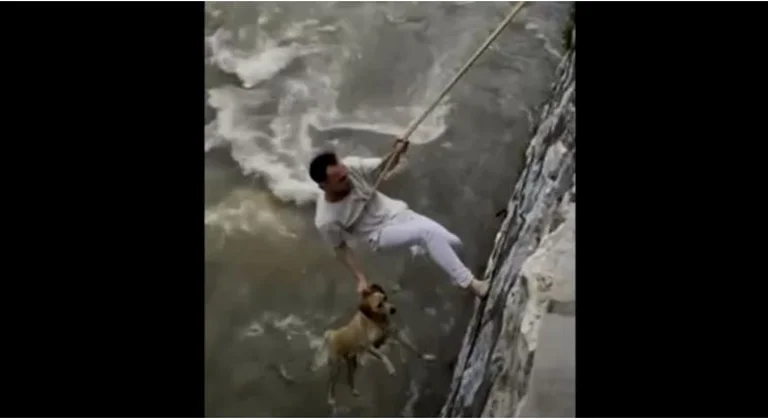 Il momento in cui il cittadino a Prizren salva il cane dal fiume