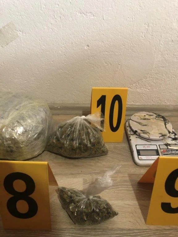 La police saisit la marijuana à Obilic, arrête une personne