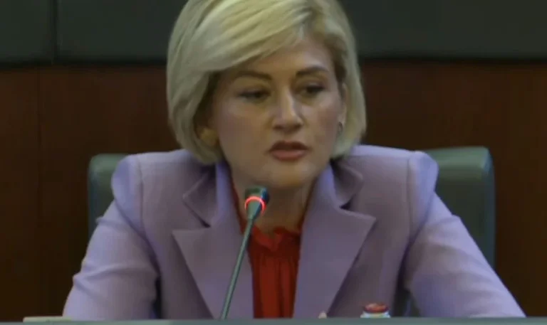 Kusari-Lila reproves opposition why they are insisting on becoming power commission