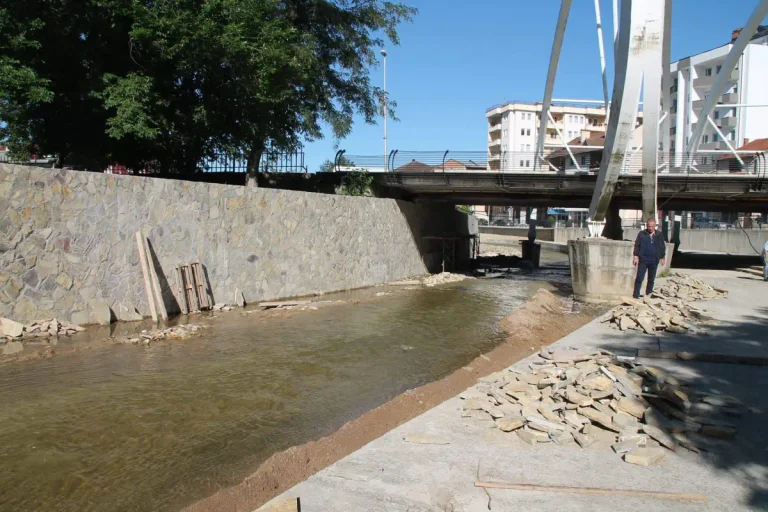 La esposa de Suhareka sufre males, rompe el tablero, y cae en el río
