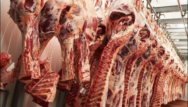 Oltre 1.000 reclami da parte dei consumatori per i prodotti a base di carne in Kosovo