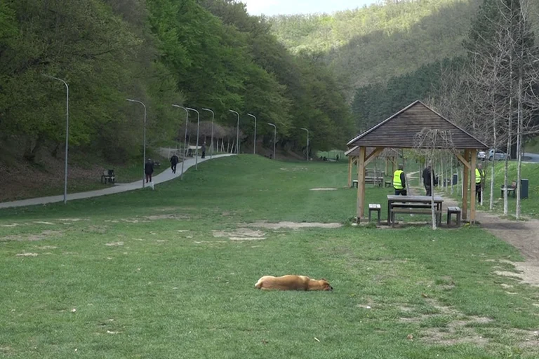 Today's Germ Park for May 1 had fewer visitors than in previous years