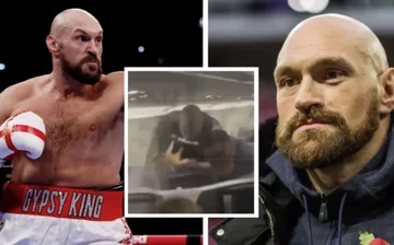 Fury überraschte uns mit seiner Aussage: Ich würde bezahlen, um Mike Tyson mir ins Gesicht schlagen zu lassen