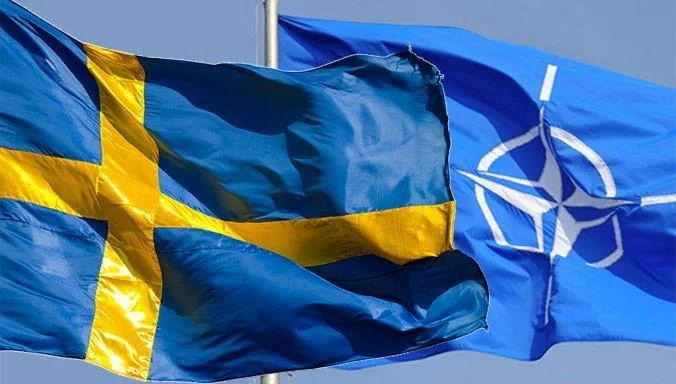 Sweden rejects access to NATO membership referendum, deems it wrong idea