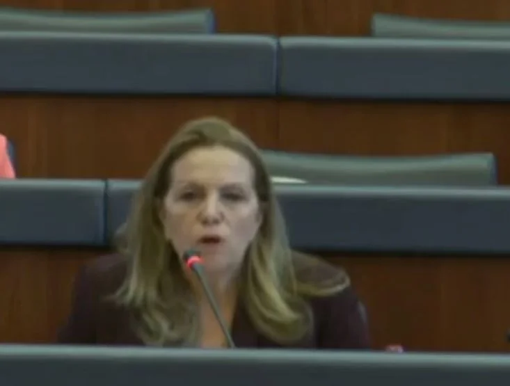 Time Kadrij: You know what he did to us when he was in opposition, why you're silent and trying to close this scandal.