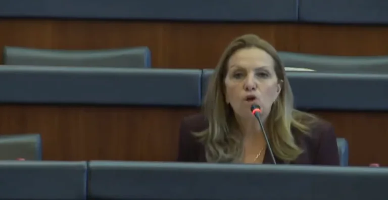 Kadrij: “rapport FH” a rédigé des organisations où le porte-parole de Kurt travaille, l'a accepté lui-même.