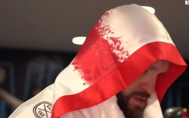 Alle Set, zwei Boxer steigen in den Ring, bereit für die große Mühle.
