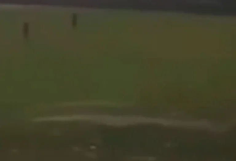 The most ridiculous Albanian commentator you've heard of is “It's 22 that made a goal I don't know his name”