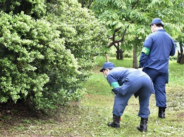 Estendere il pitone lungo 2m, la polizia in azione per trovarlo.