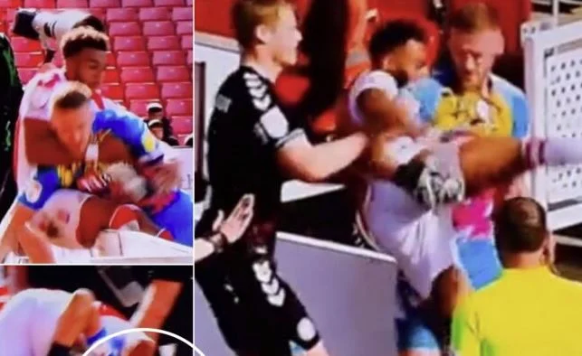 Chi ha visto questo video non ha capito cosa avevano i due giocatori nel gioco Stoke City Bristol