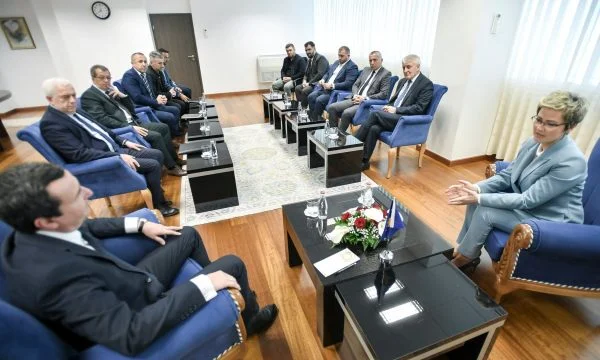 Kurti vs Albanien Arifi: Möchten Sie nicht herunterladen Ardita Sinani