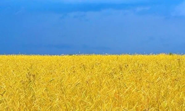 Negative forecast for Ukraine's economy, contracting 45% this year